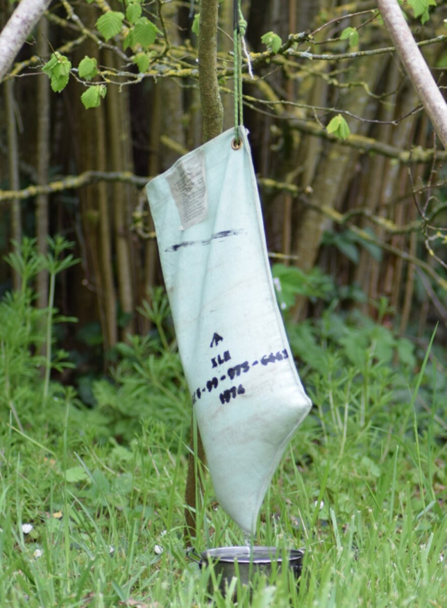 Millbank Bag