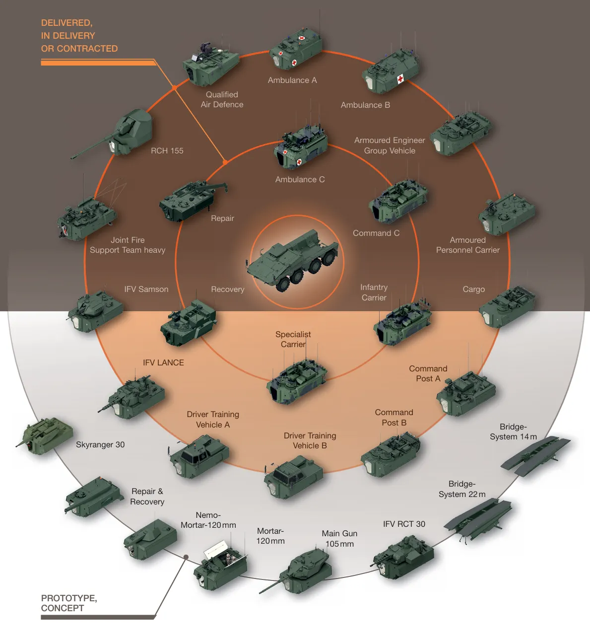 Boxer (Variants) 1 Boxer Variants1